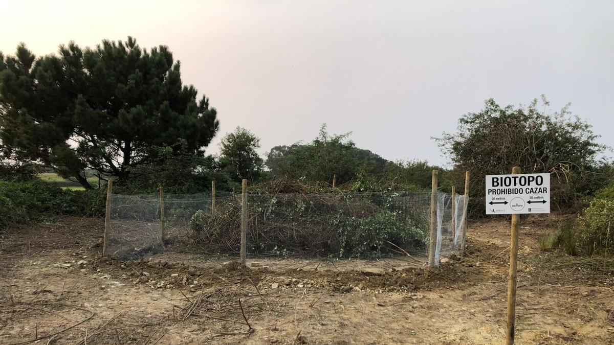 Un biotopo para conejos en montes de la comunidad de Busto.