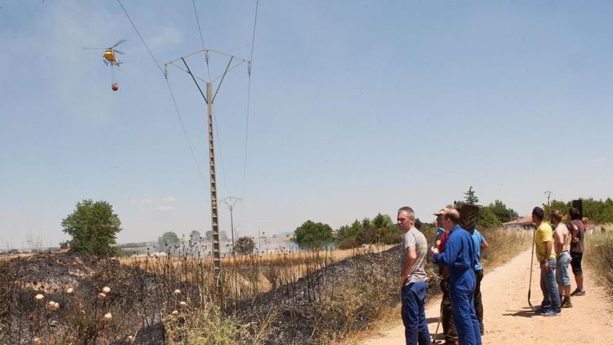 Varios incendios observan el cultivo calcinado