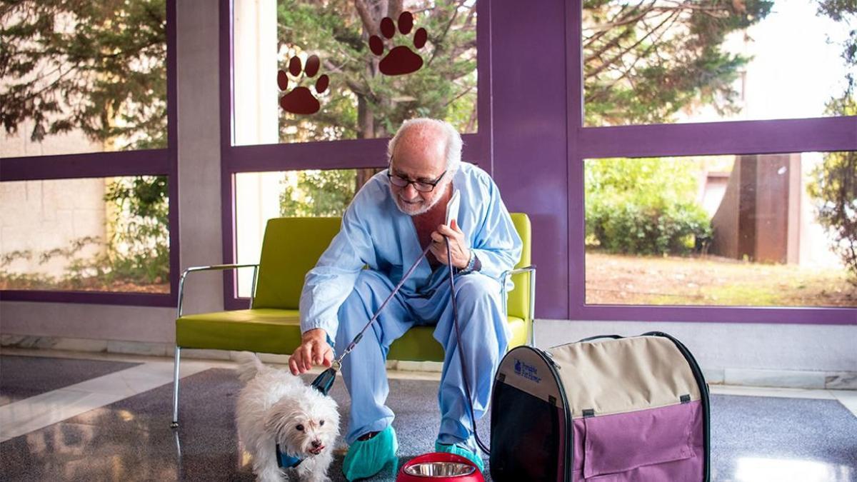 El Hospital de Getafe habilita una zona para que los pacientes puedan recibir la visita de sus perros