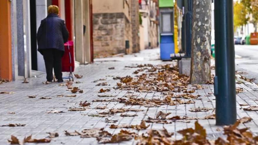 Las calles de Alcoy están estos días repletas de hojas.