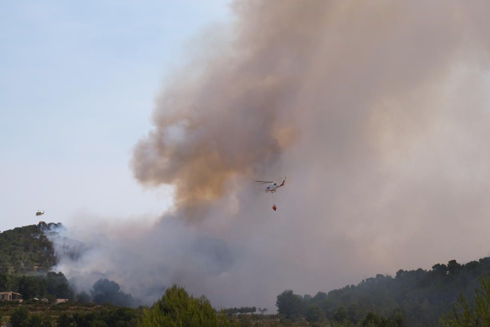 El fuego se ha originado al mediodía en la pedanía de La Romaneta y amenaza con extenderse por el monte y afectar a varias casas de campo.