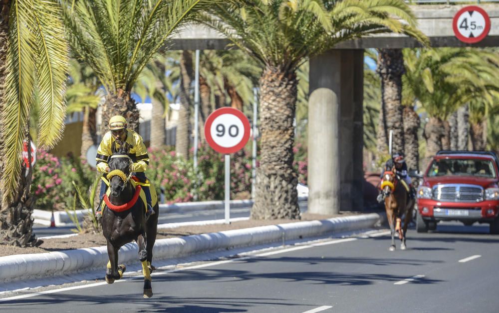 23/06/2018 TELDE. Carreras de caballos fiestas ...