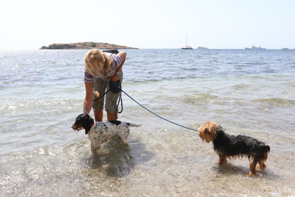 Primera playa abierta para los perros todo el año en Ibiza.