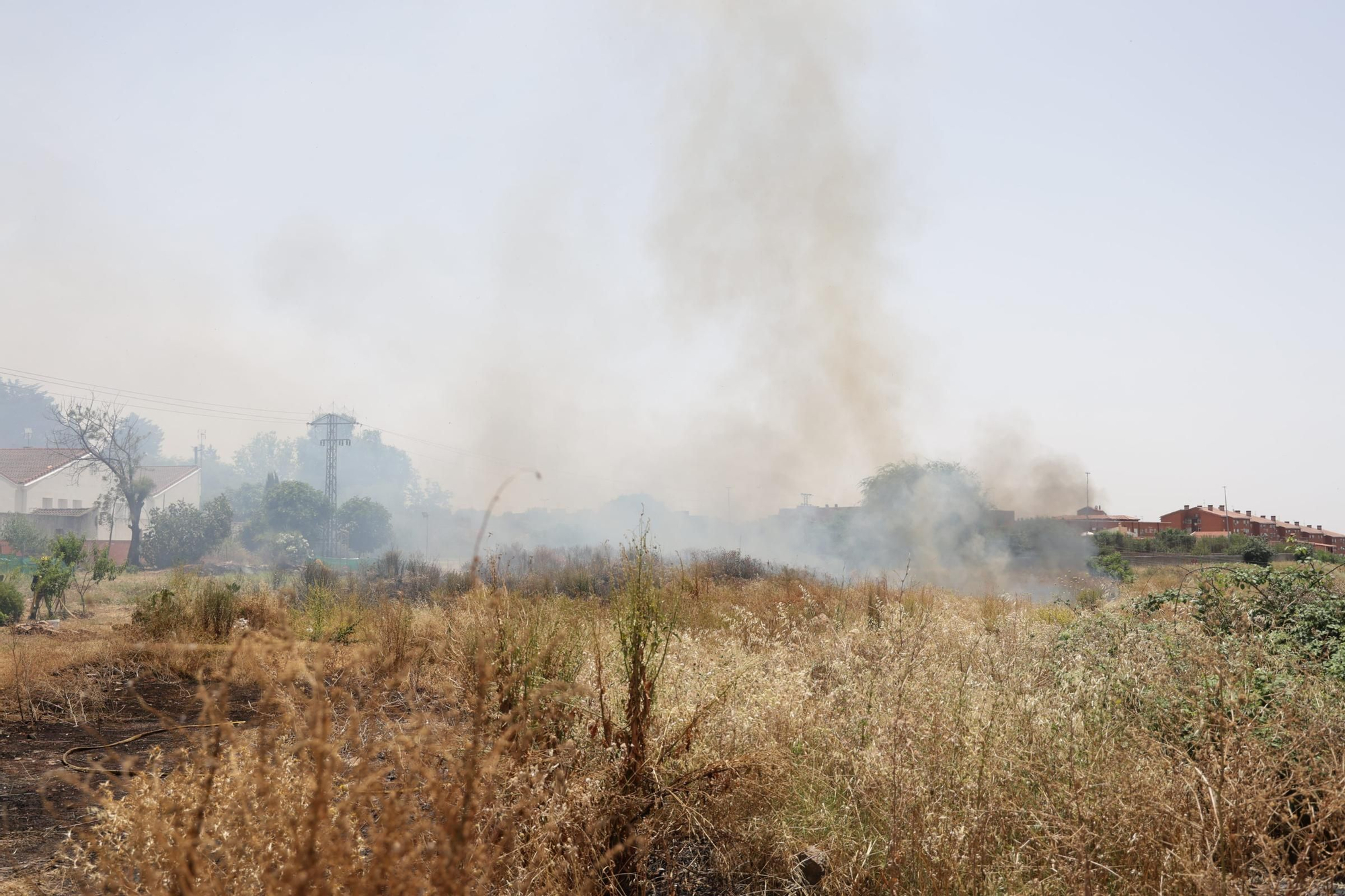El Incendio en el Cerro de los Pinos, en imágenes