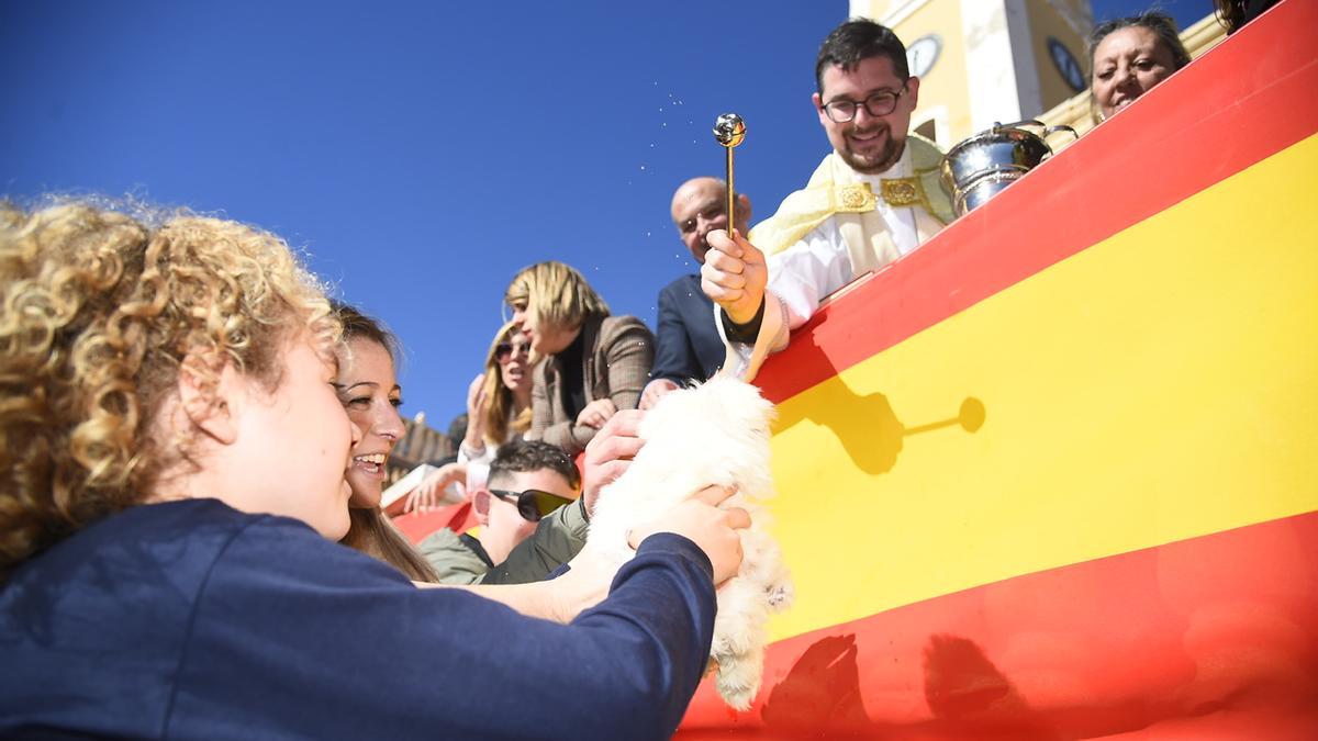 Bendición de animales por San Antón en Cartagena