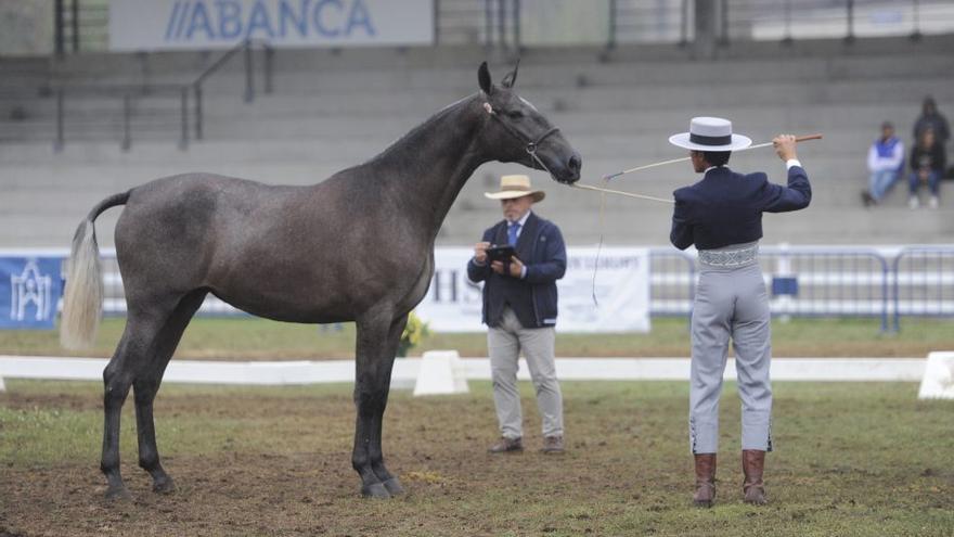 La Xunta autoriza la financiación de la pista de hípica en la Semana Verde