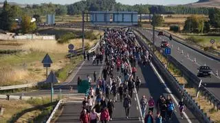La Marcha de Asprosub, el 4 de octubre, desde el parque León Felipe de Zamora