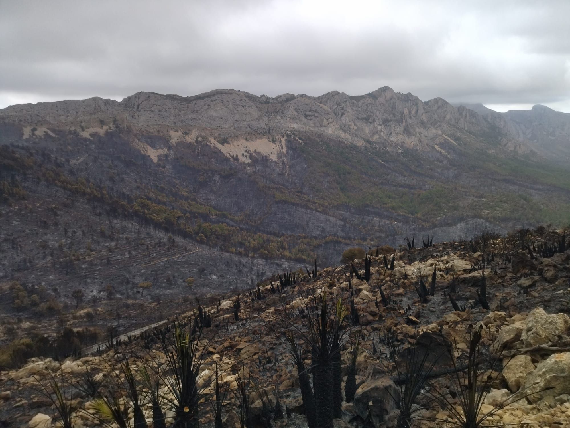 La destrucción del incendio de Tàrbena, en imágenes