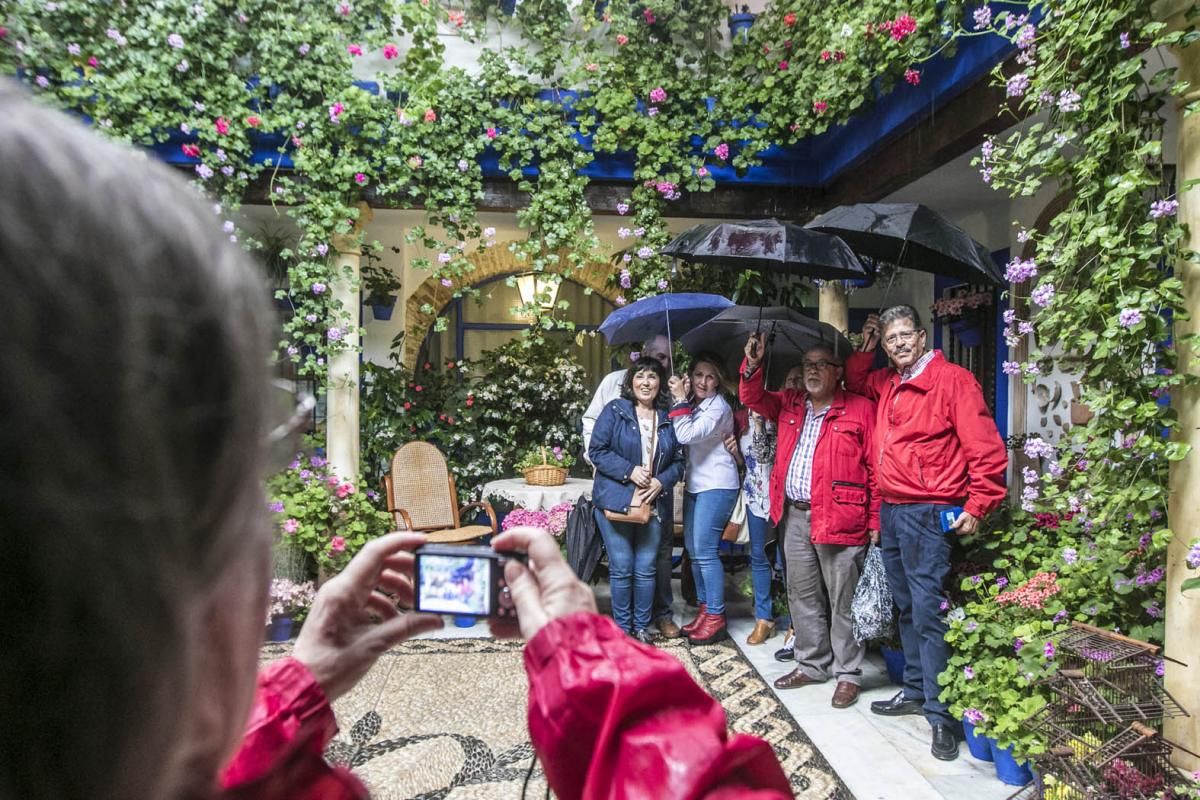 Fotogalería / Descubriendo los patios de la ruta del Realejo y San Andrés