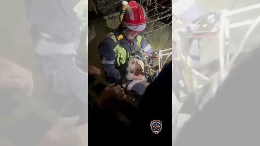 Rescatan a un perro tras caer a un pozo en una finca de Mallorca