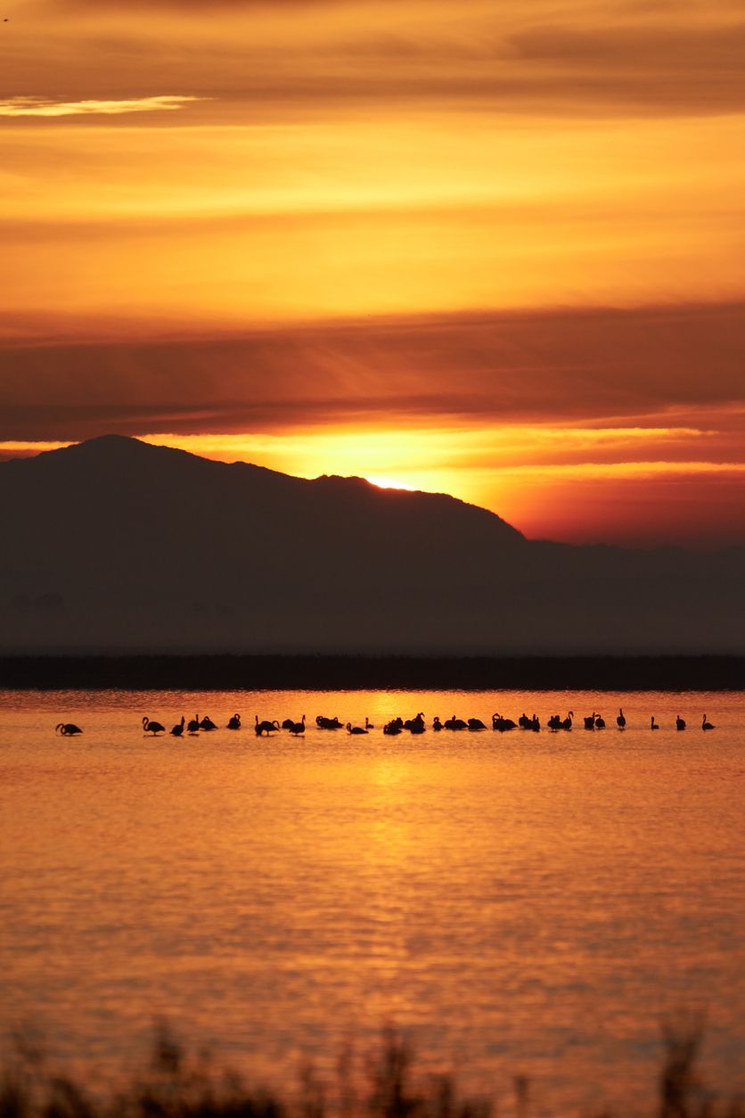 Atardecer en Doñana.