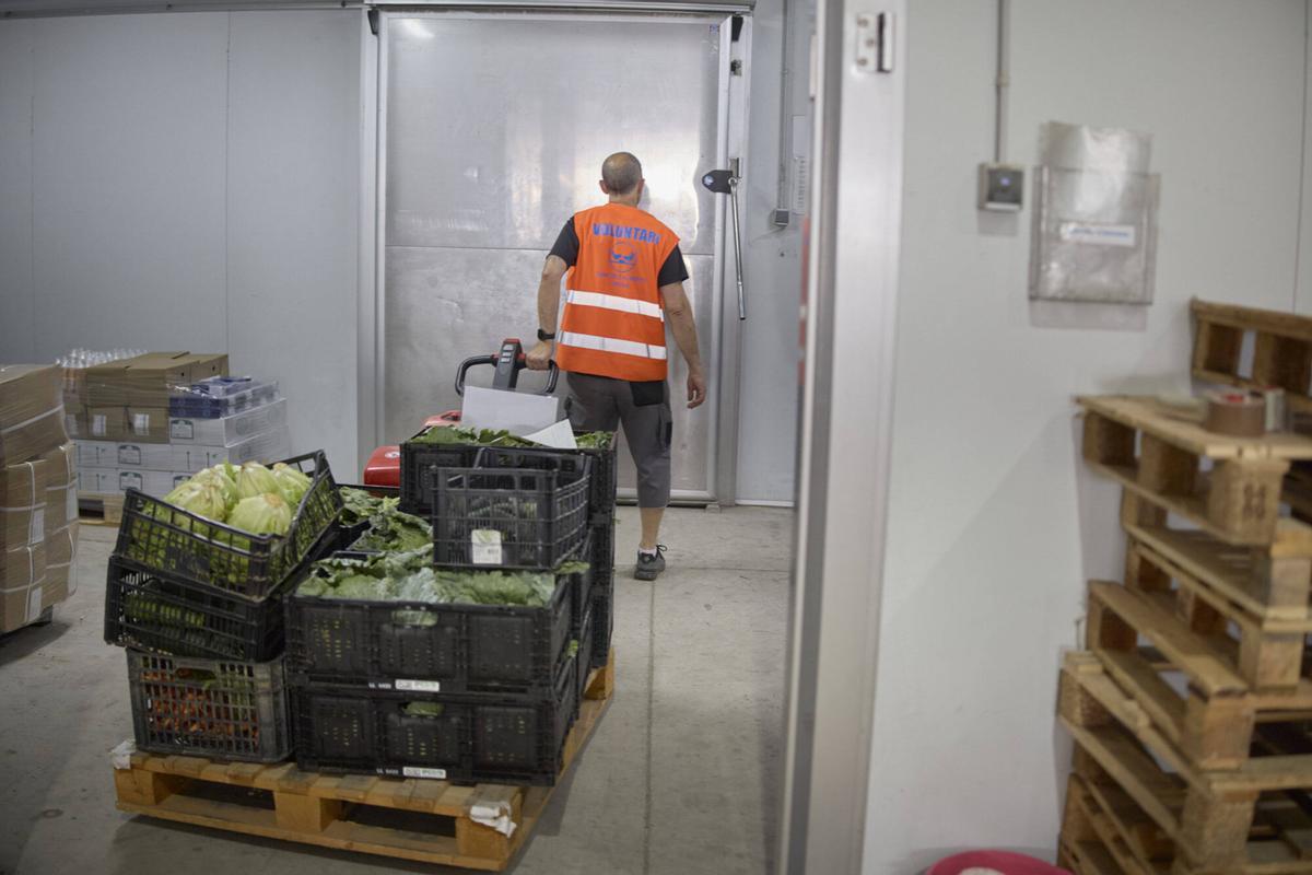 Les imatges del Banc d'Aliments de Girona