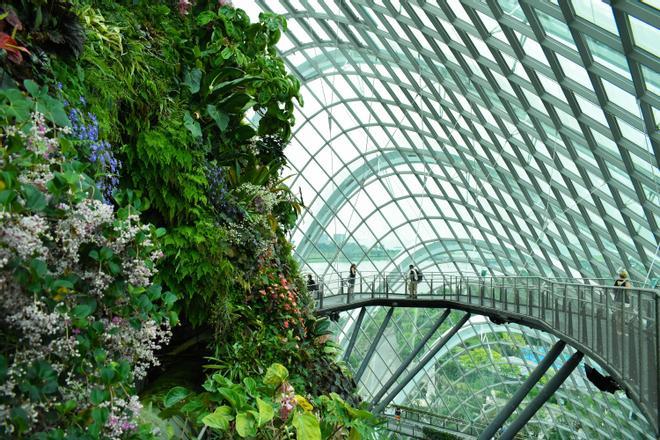 Gardens by the Bay, jardines