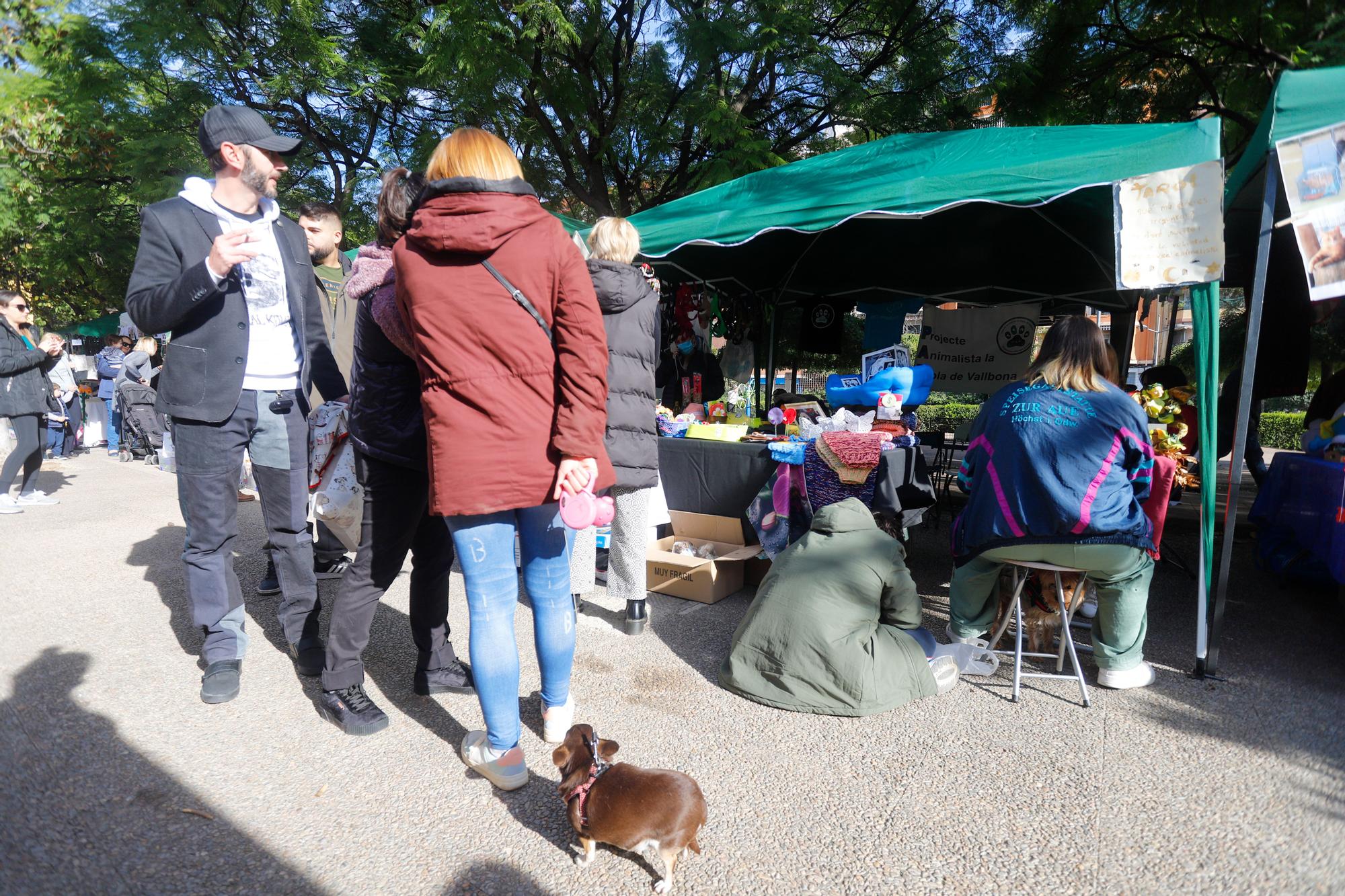 III Jornada de Benestar Animal de València