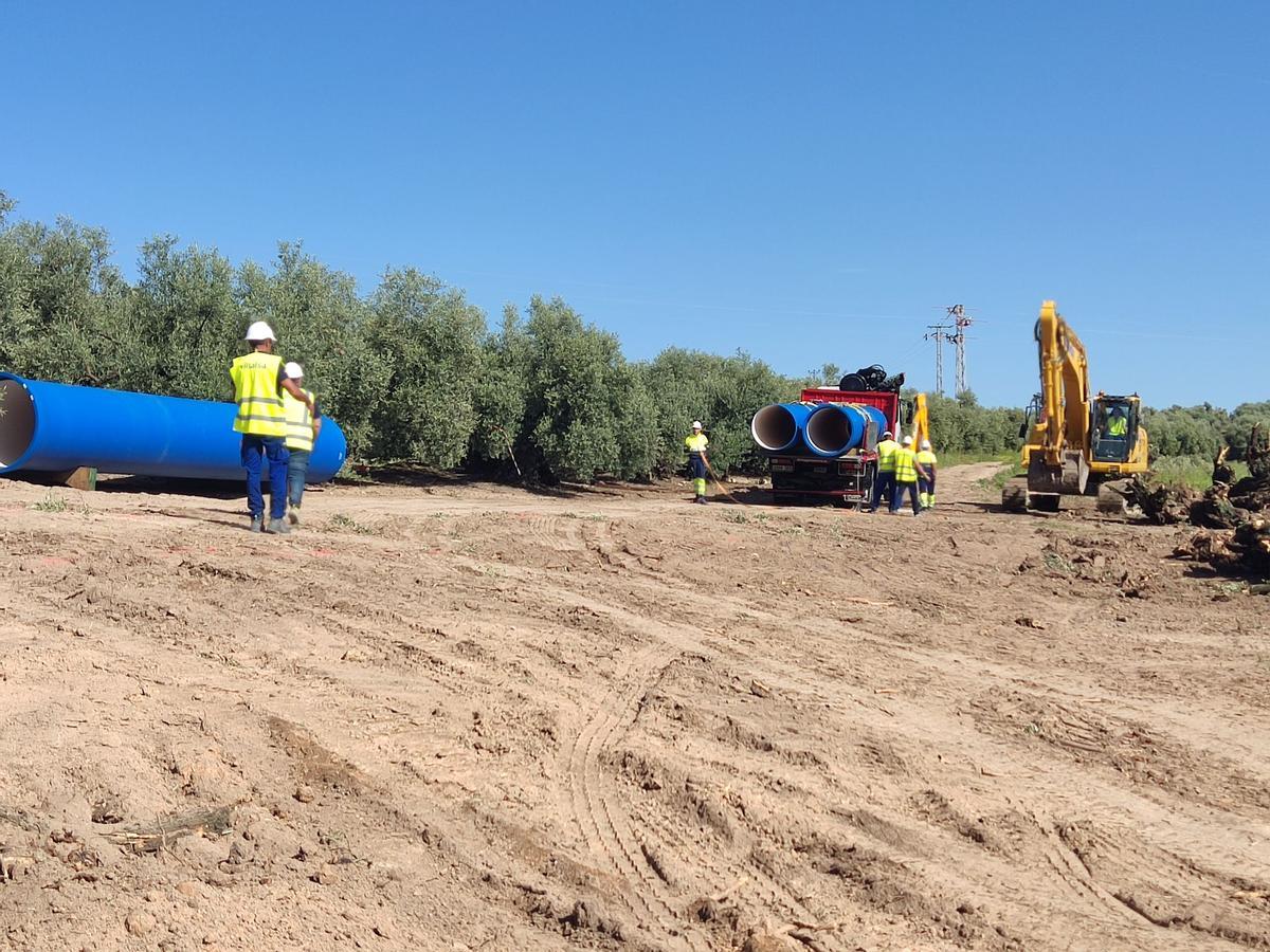 Descarga de tuberías en la zona que ya se ha desbrozado de olivos.