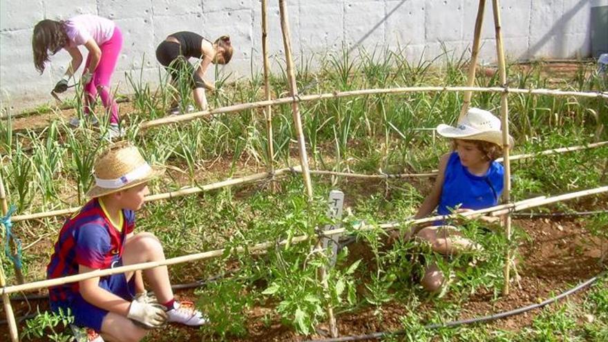 La innovació de les ‘ecoescoles’ s’instal·la en sis centres de Castelló