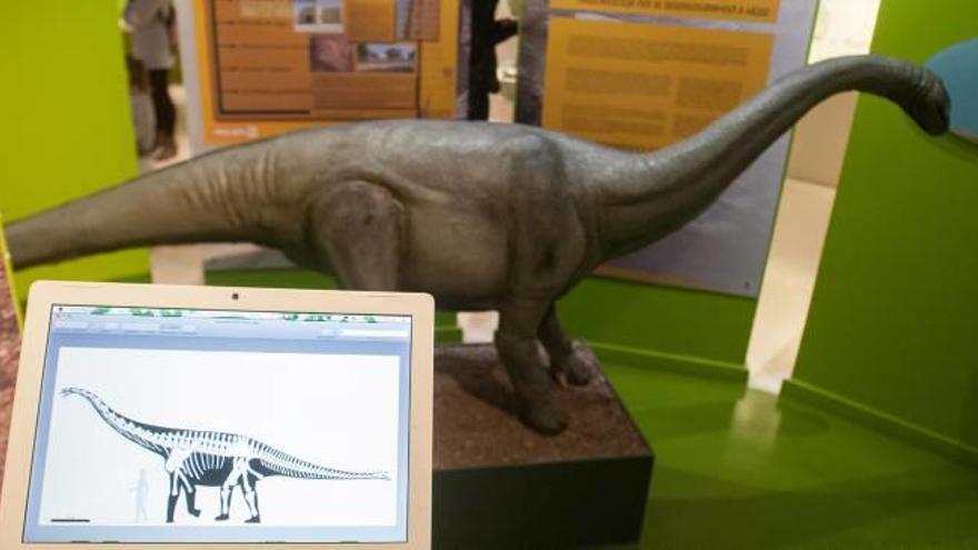 Dos recreaciones (una informática y otra de corcho y resina) del famoso dinosaurio de Níger en el Museo Paleontológico.
