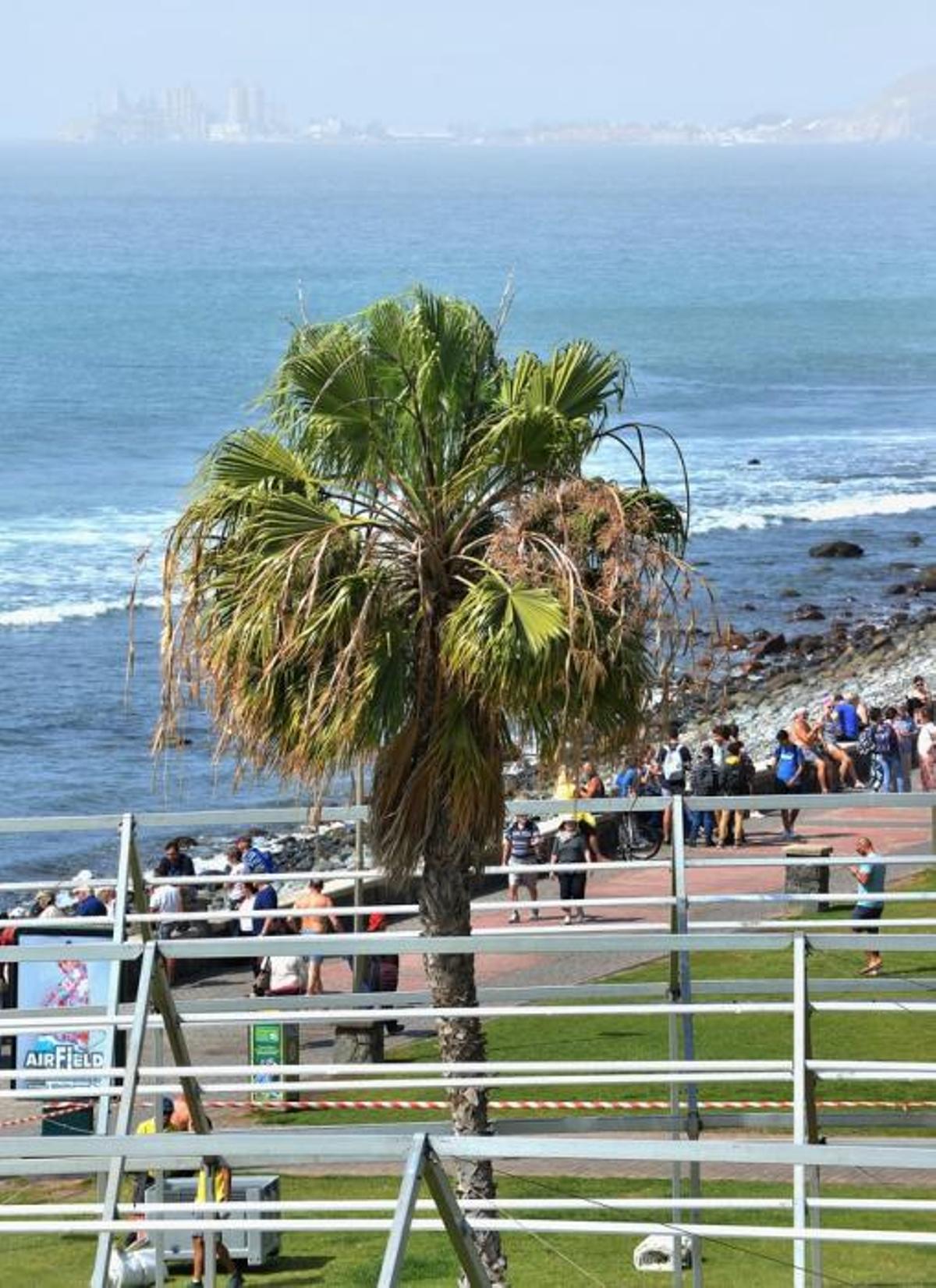 22/02/2019 MASPALOMAS, SAN BARTOLOMÉ DE TIRAJANA. Imágenes de calima en el Sur, tomadas desde el Faro de Maspalomas. SANTI BLANCO 22/02/2019 MASPALOMAS, SAN BARTOLOMÉ DE TIRAJANA. Imágenes de calima en el Sur, tomadas desde el Faro de Maspalomas. SANTI BLANCO