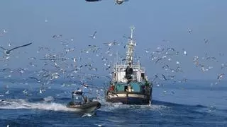 El Tribunal Europeo confirma las restricciones a la pesca en áreas protegidas y tumba un recurso de España