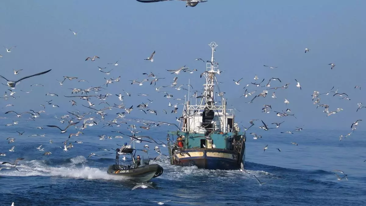 El Tribunal Europeo confirma las restricciones a la pesca en áreas protegidas y tumba un recurso de España