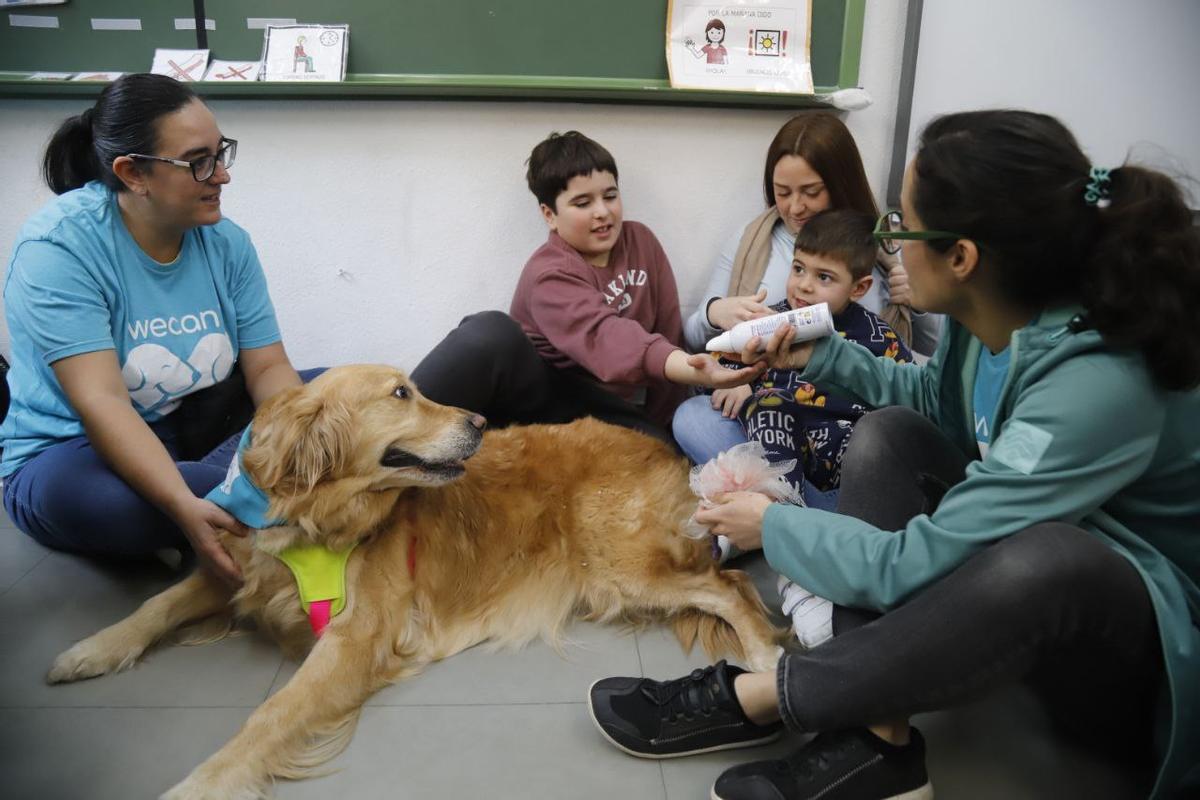 'Huellas en el aula': perros en los colegios de Córdoba para alumnos con necesidades educativas especiales
