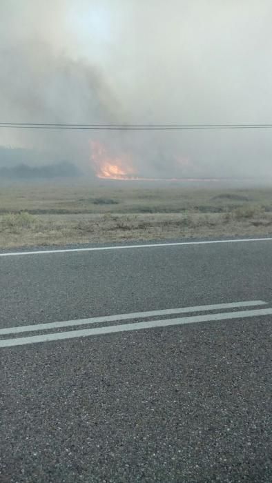 Fuego en Figueruela