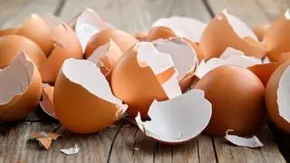 La OCU avisa de cómo hay que limpiar la cáscara de huevo
