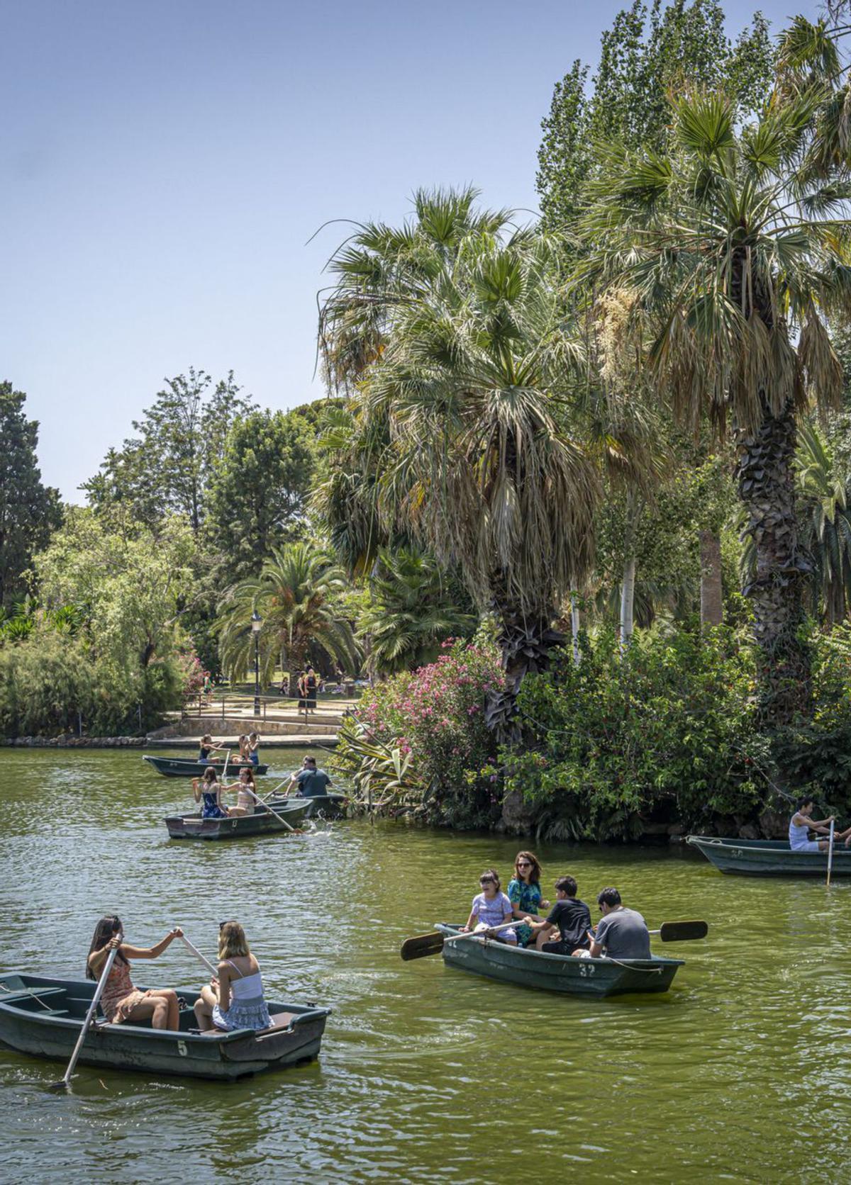 La Ciutadella inicia una gran reforma en 11 de les 14 hectàrees