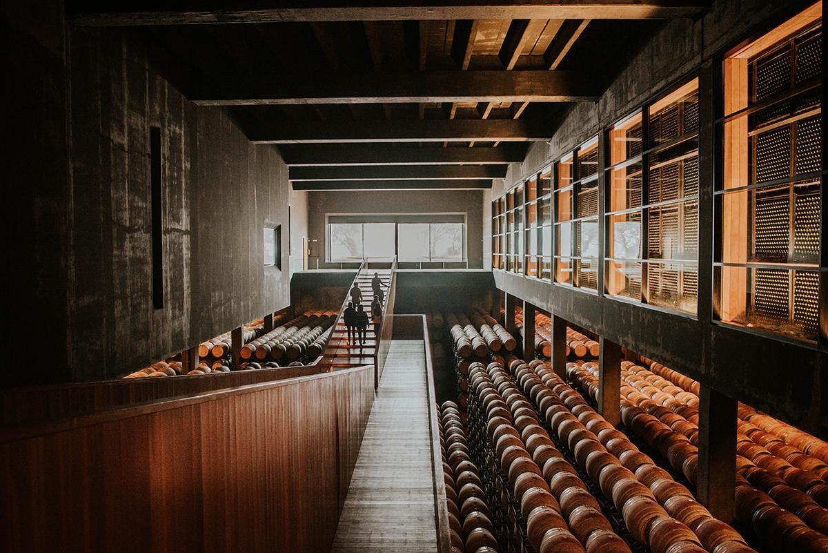 Bodegas Campo Viejo