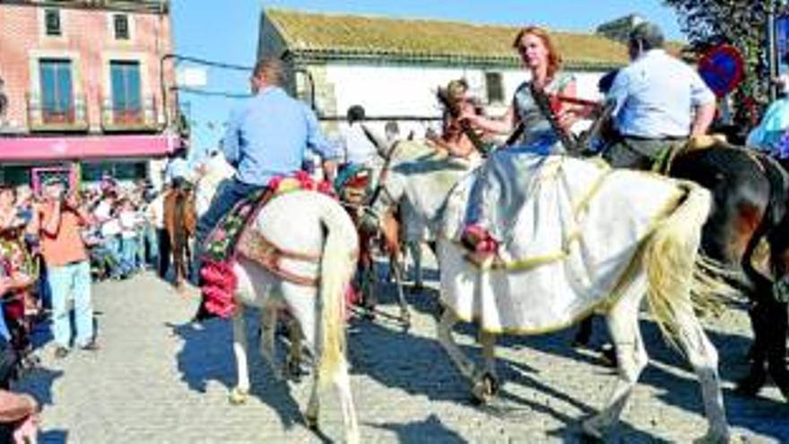 Piostros sobre caballos y mulas