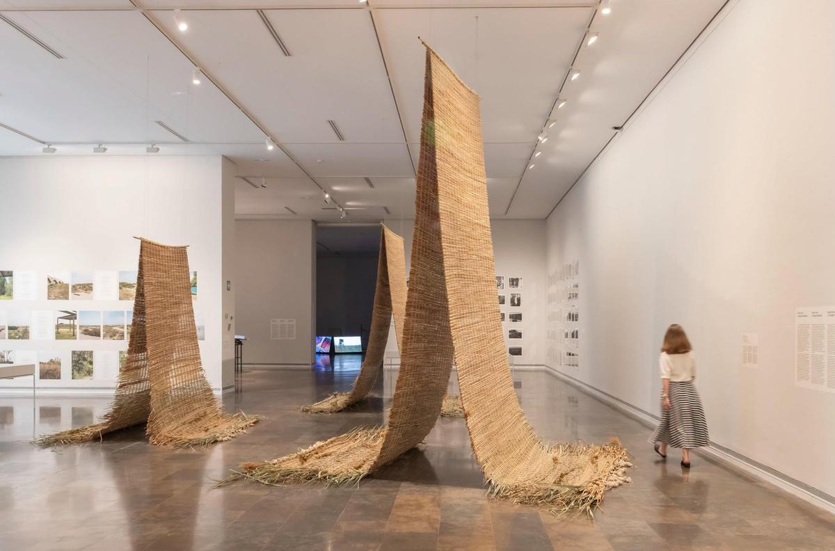 La presente muestra dialoga, además, con un proyecto histórico del propio museo: 'L’Albufera. Visió tangencial'.