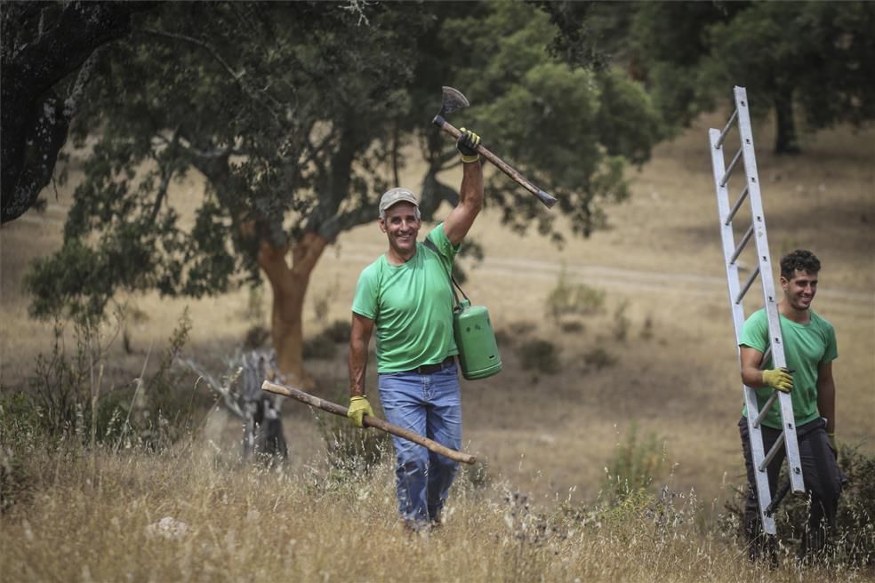 La saca del corcho se asoma al siglo XXI