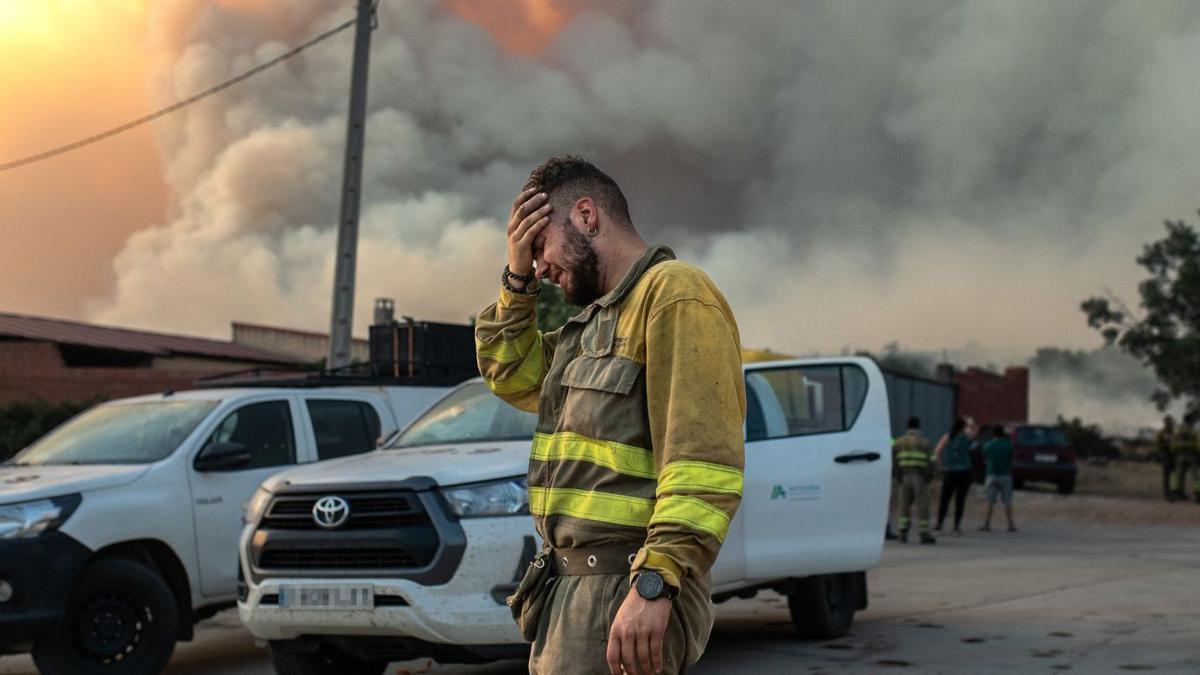 Un bombero llora en las inmediaciones del incendio de Losacio.