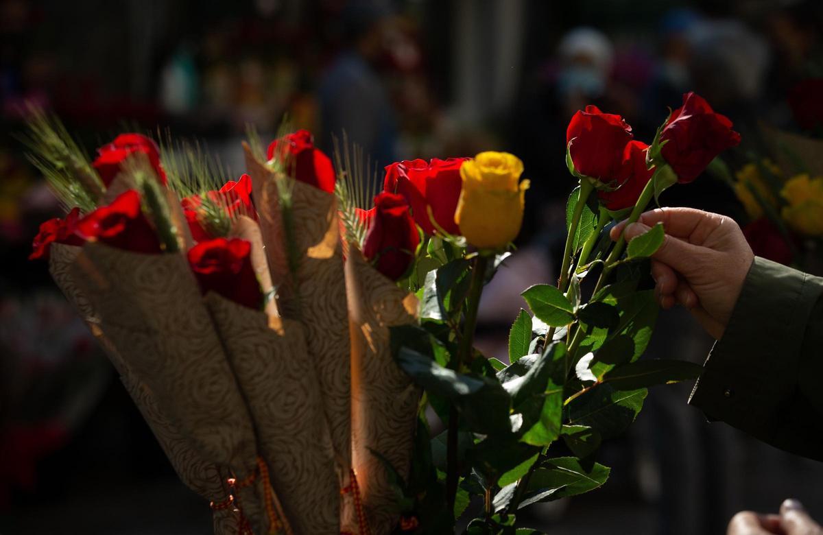 La tradición manda regalar una rosa en Sant Jordi.