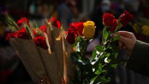 La tradición manda regalar una rosa en Sant Jordi.