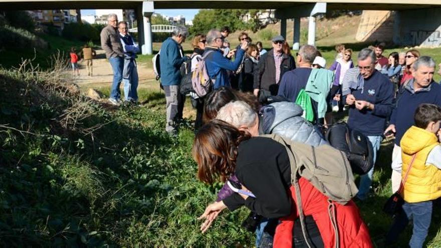 Ruta para preservar la cultura etnobotànica en Paiporta