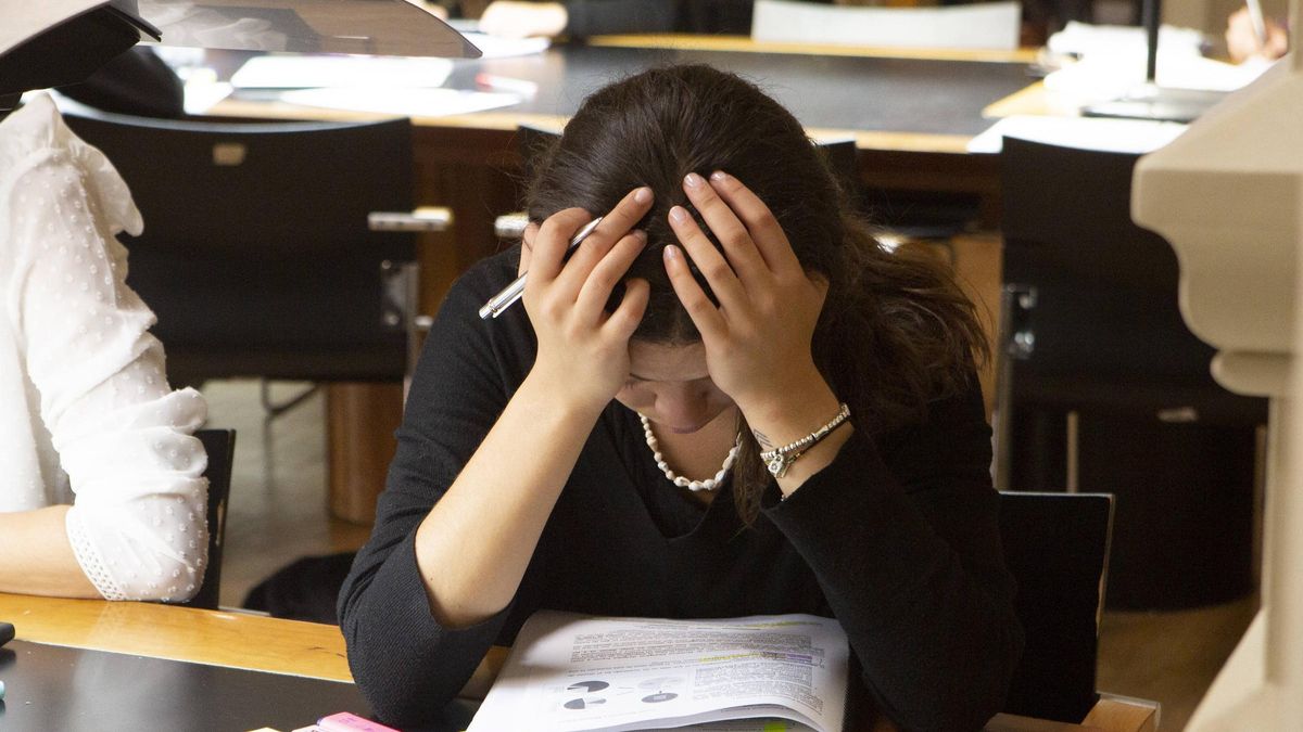 Una chica estudia en una biblioteca de Vigo.
