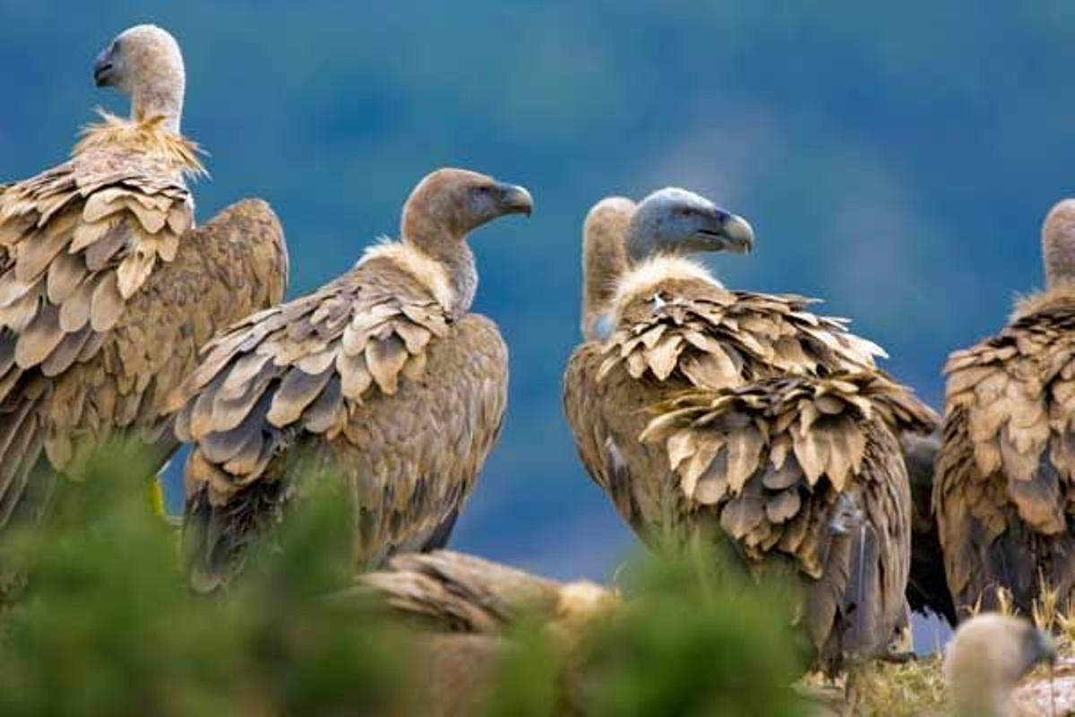 Parque Nacional de Monfragüe