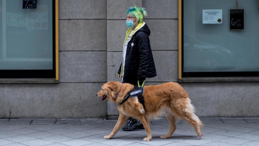 Una mujer pasea a un perro en Ourense.