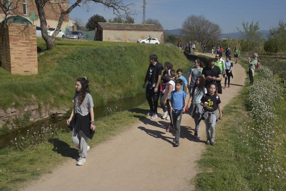 Totes les fotos de la Transèquia 2020