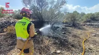Vídeo: Trabajos de los bomberos en el incendio forestal en Càlig