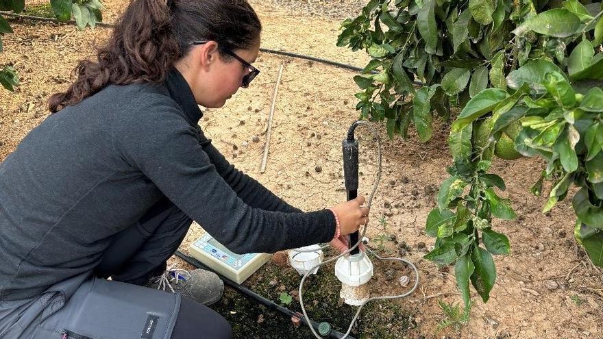 Medida de la humedad del suelo durante el ensayo con agentes humectantes.