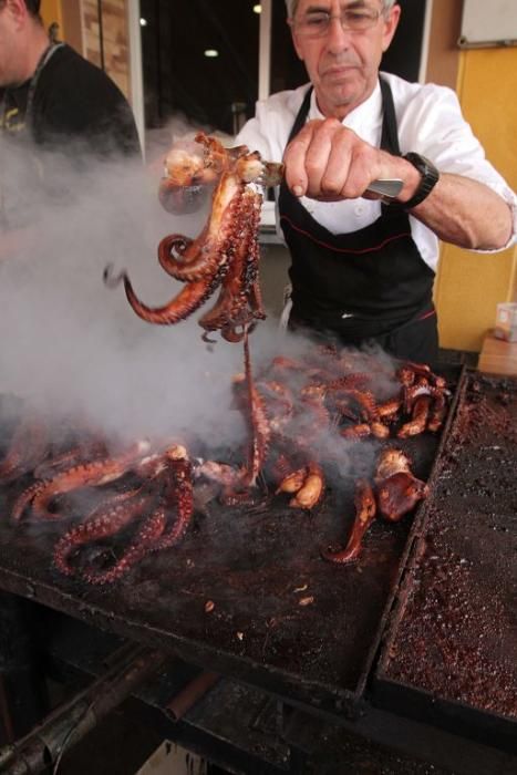 ¡Pulpo! Fiestas de San Anton Cartagena