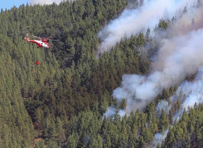 Incendio en Artenara (Gran Canaria)