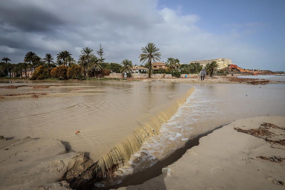 El Ayuntamiento de Orihuela ha valorado en más de medio millón de euros los destrozos provocados por la Borrasca Gloria en su litoral