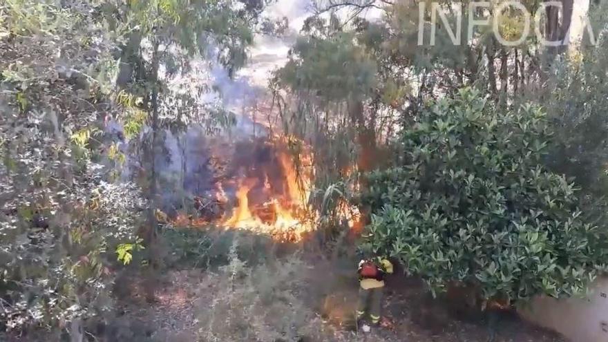 Imagen de efectivos del Plan Infoca trabajando para extinguir un incendio forestal en Alhaurínl el Grande,  en paraje Las Lomas.