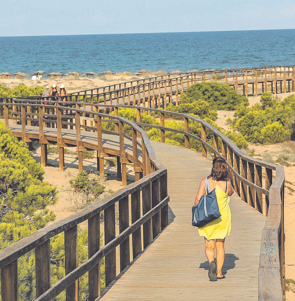 Las playas ilicitanas se caracterizan por haber conservado su riqueza natural.