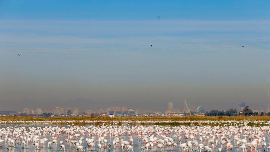 València activa el protocolo de contaminación