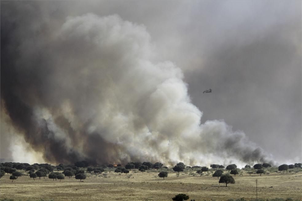 Incendio forestal en Cáceres