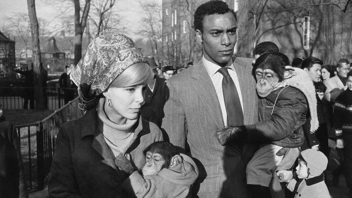 Garry Winogrand y la 'fotografía de la calle'